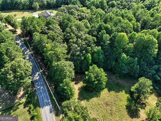 0 New Hope Church Road Monroe, GA 30656 - Photo 13 of 30 a view of a garden with plants