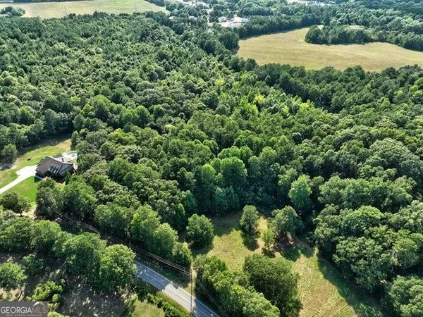 a view of a lush green forest