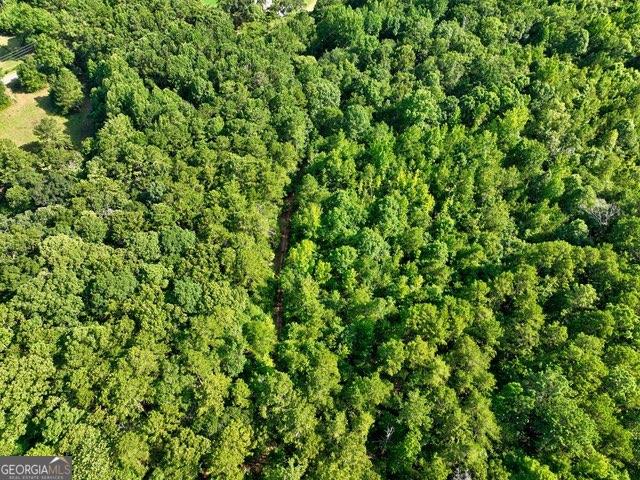 0 New Hope Church Road Monroe, GA 30656 - Photo 21 of 30 a view of a lush green forest