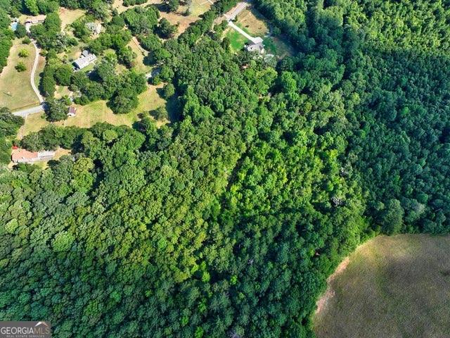 0 New Hope Church Road Monroe, GA 30656 - Photo 23 of 30 a view of a lush green forest with lots of trees