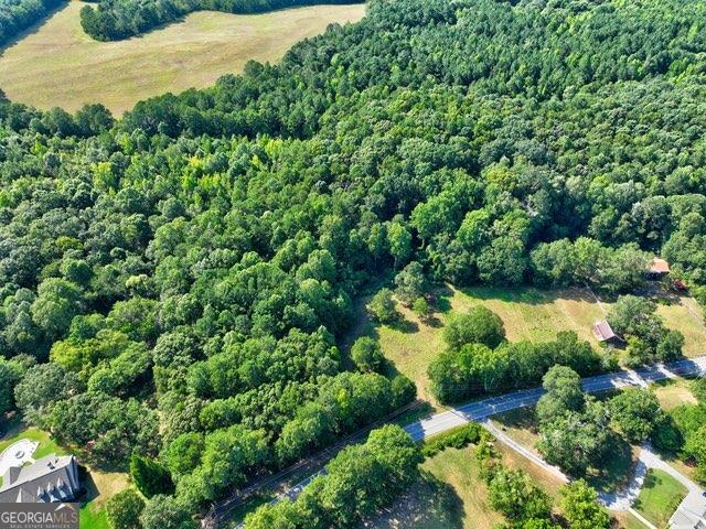 0 New Hope Church Road Monroe, GA 30656 - Photo 29 of 30 a view of a garden with plants
