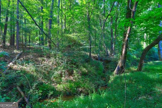 0 New Hope Church Road Monroe, GA 30656 - Photo 5 of 30 a view of a lush green forest