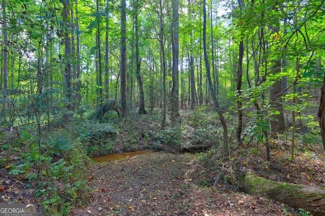 0 New Hope Church Road Monroe, GA 30656 - Photo 7 of 30 a view of a lush green forest