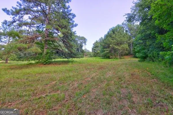 a view of a big yard with plants and large trees