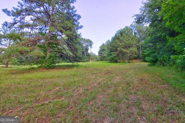 0 New Hope Church Road Monroe, GA 30656 - Photo 8 of 30 a view of outdoor space and yard