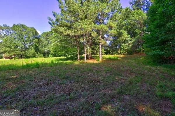 a view of a garden with a tree