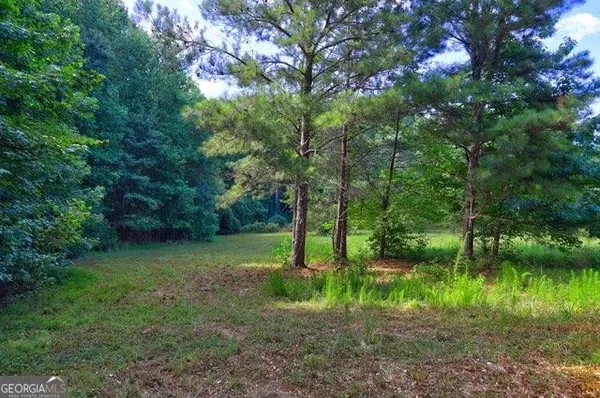 a view of a yard with a tree