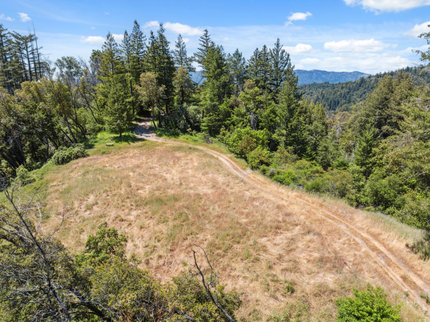 1495 Dons Road Boulder Creek, CA 95006 - Photo 30 of 40 a view of a backyard of the house