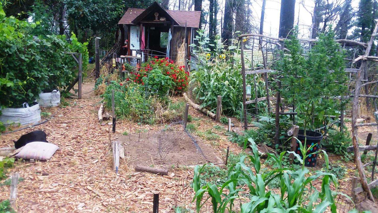 1495 Dons Road Boulder Creek, CA 95006 - Photo 33 of 40 a view of a chairs in a backyard