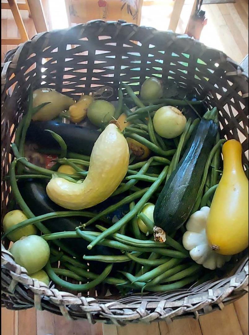 1495 Dons Road Boulder Creek, CA 95006 - Photo 34 of 40 a work place with table and chairs