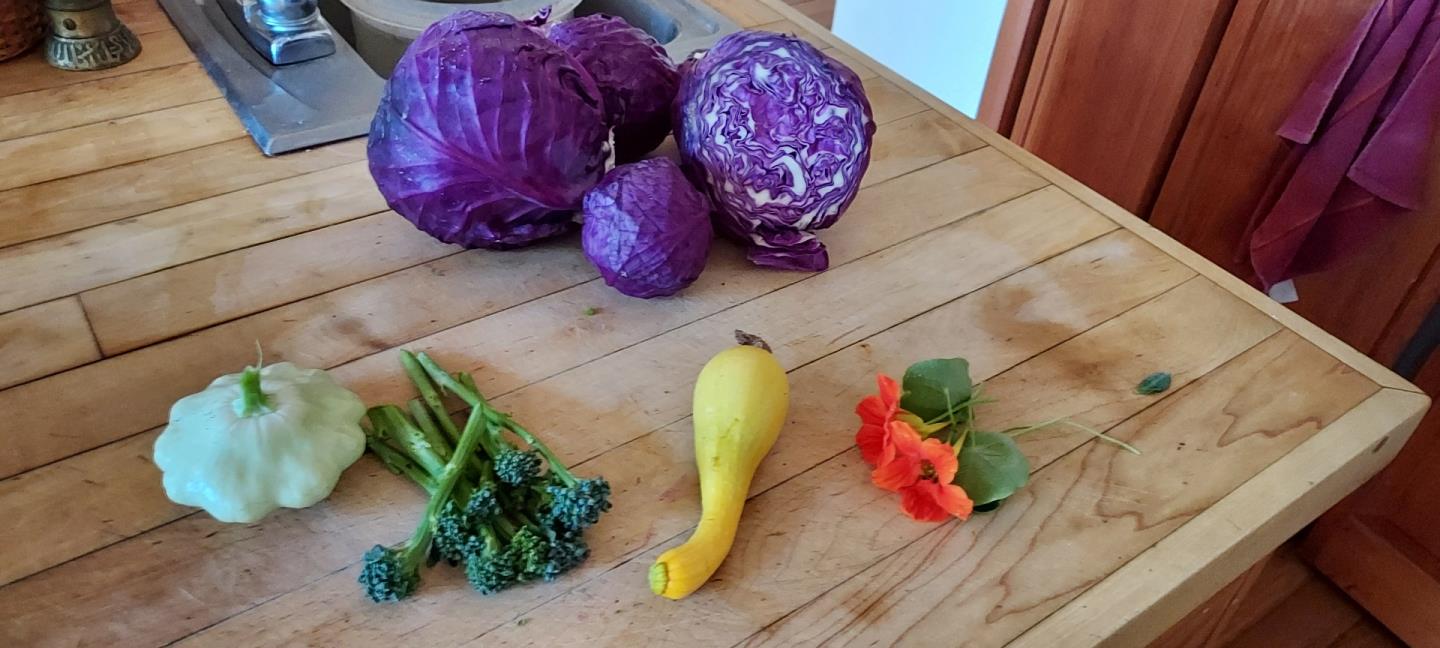 1495 Dons Road Boulder Creek, CA 95006 - Photo 35 of 40 a view of a couch sitting in a floor
