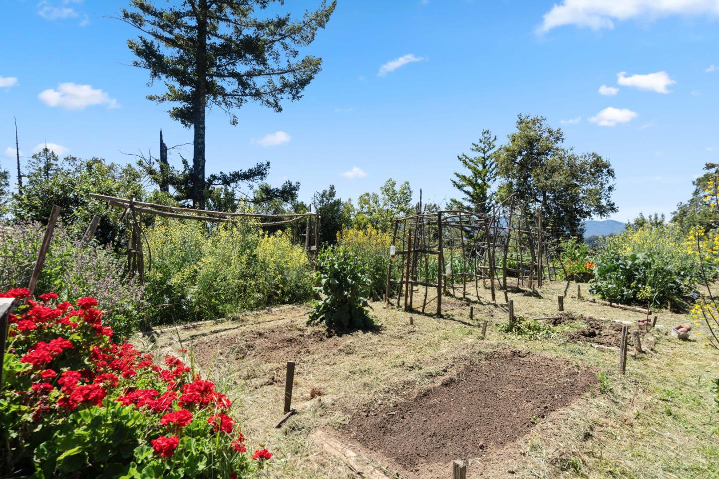 1495 Dons Road Boulder Creek, CA 95006 - Photo 36 of 40 a view of statue in the garden