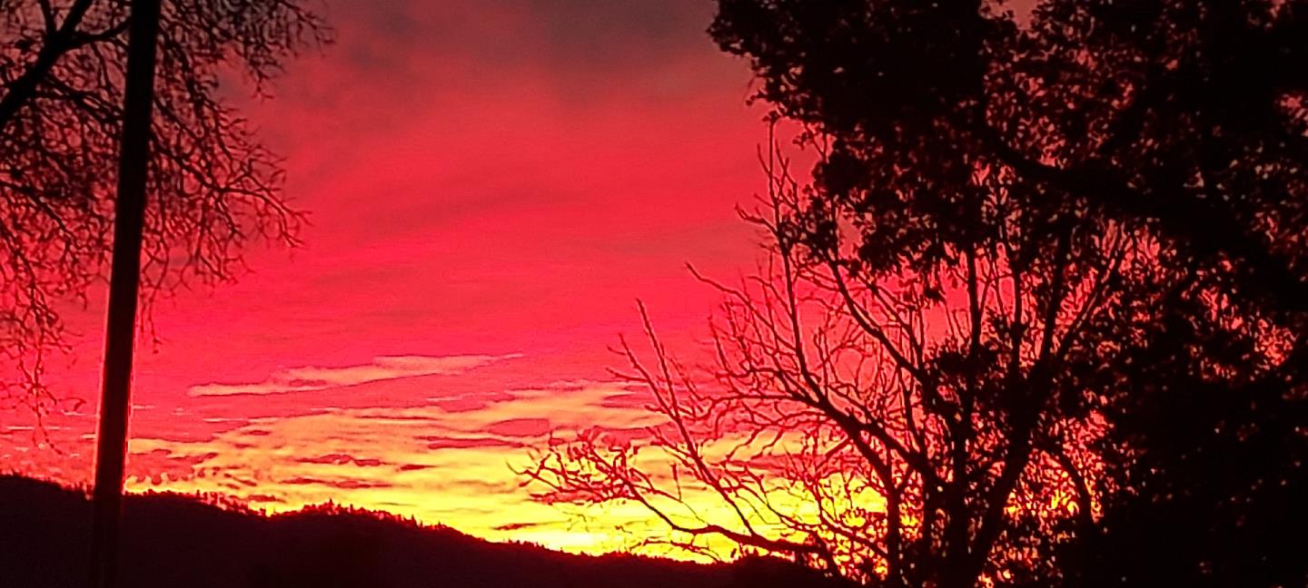 1495 Dons Road Boulder Creek, CA 95006 - Photo 40 of 40 a view of a tree