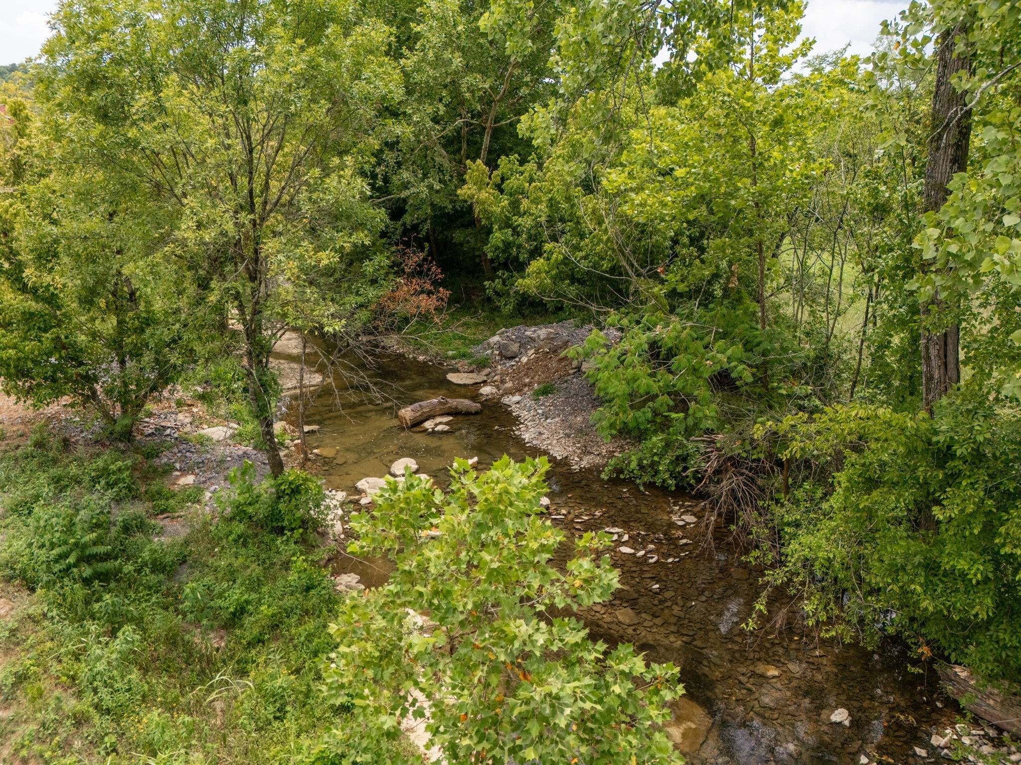 3460 Bradyville Road Readyville, TN 37149 - Photo 6 of 21