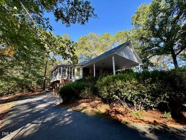 a view of a forest filled with trees