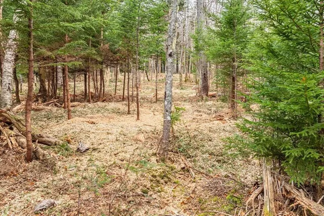 $640,000 | 11 Quiet Shore Road, Steuben, ME 04680