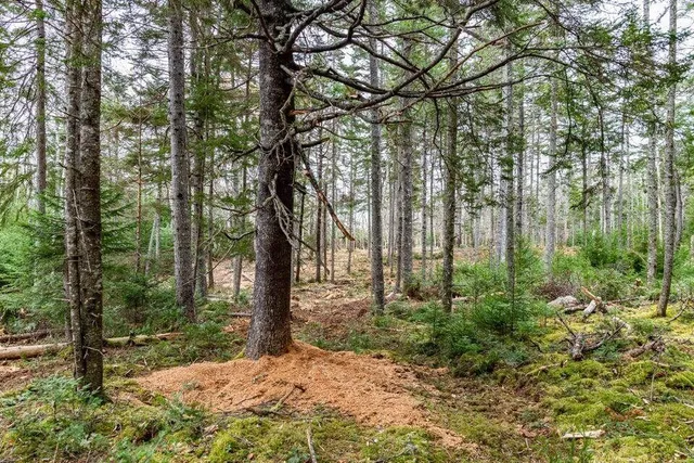 $640,000 | 11 Quiet Shore Road, Steuben, ME 04680