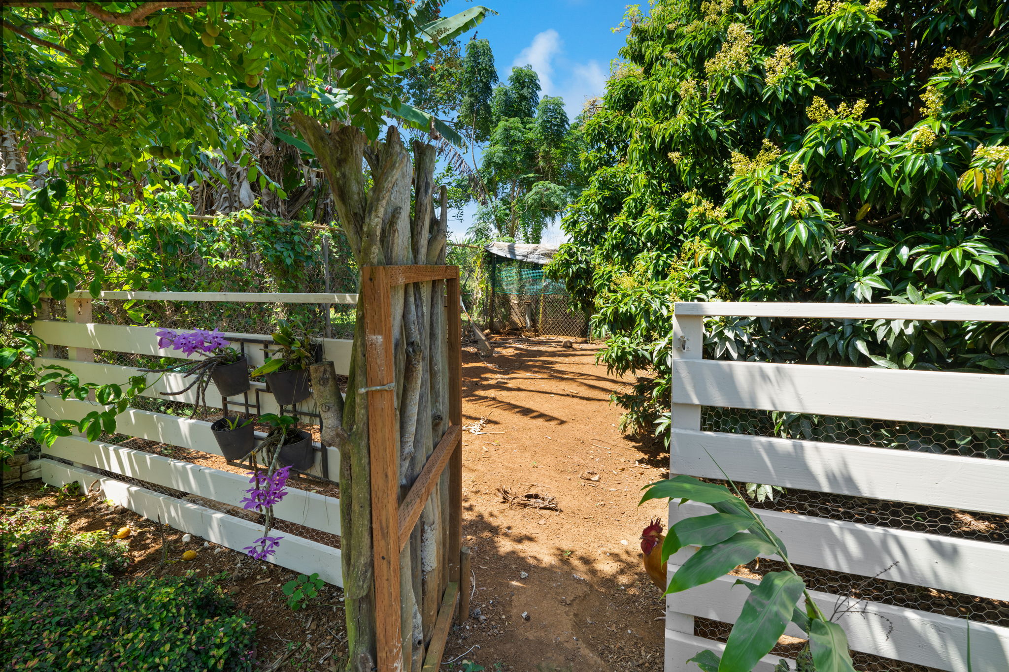 6100 Kawaihau Road Kapaa, HI 96746 - Photo 11 of 22
