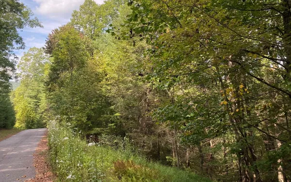 $52,000 | Lot 58 Gobblers Knob, Suches, GA 30572