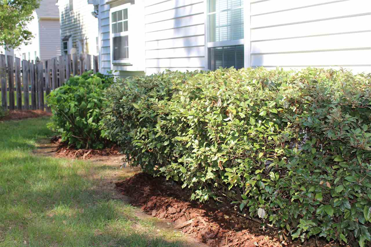 5002 Gable Ridge Drive Durham, NC 27713 - Photo 7 of 16 Photo 7