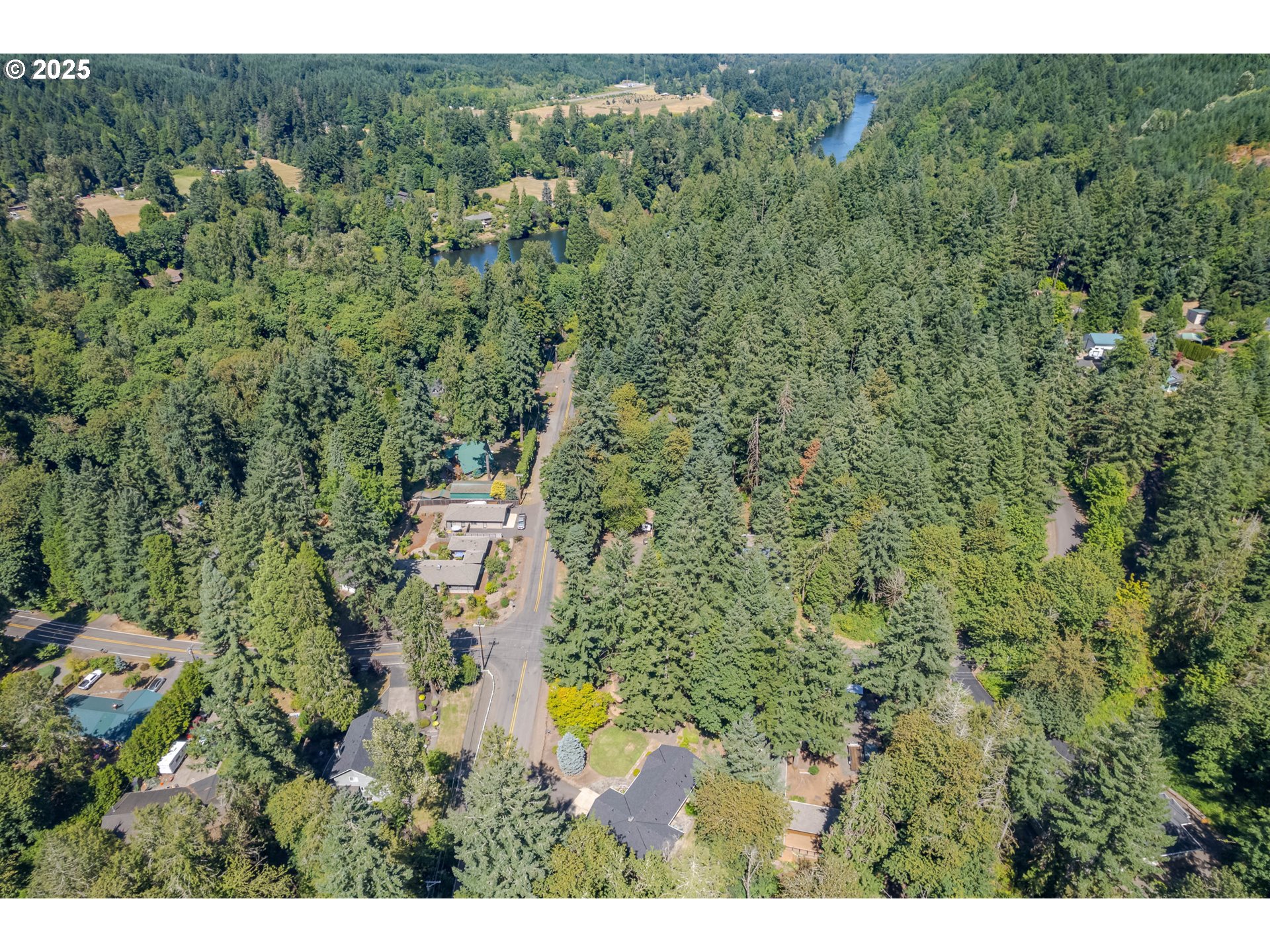 41886 Deerhorn Road Springfield, OR 97478 - Photo 48 of 48 a view of a city with lush green forest