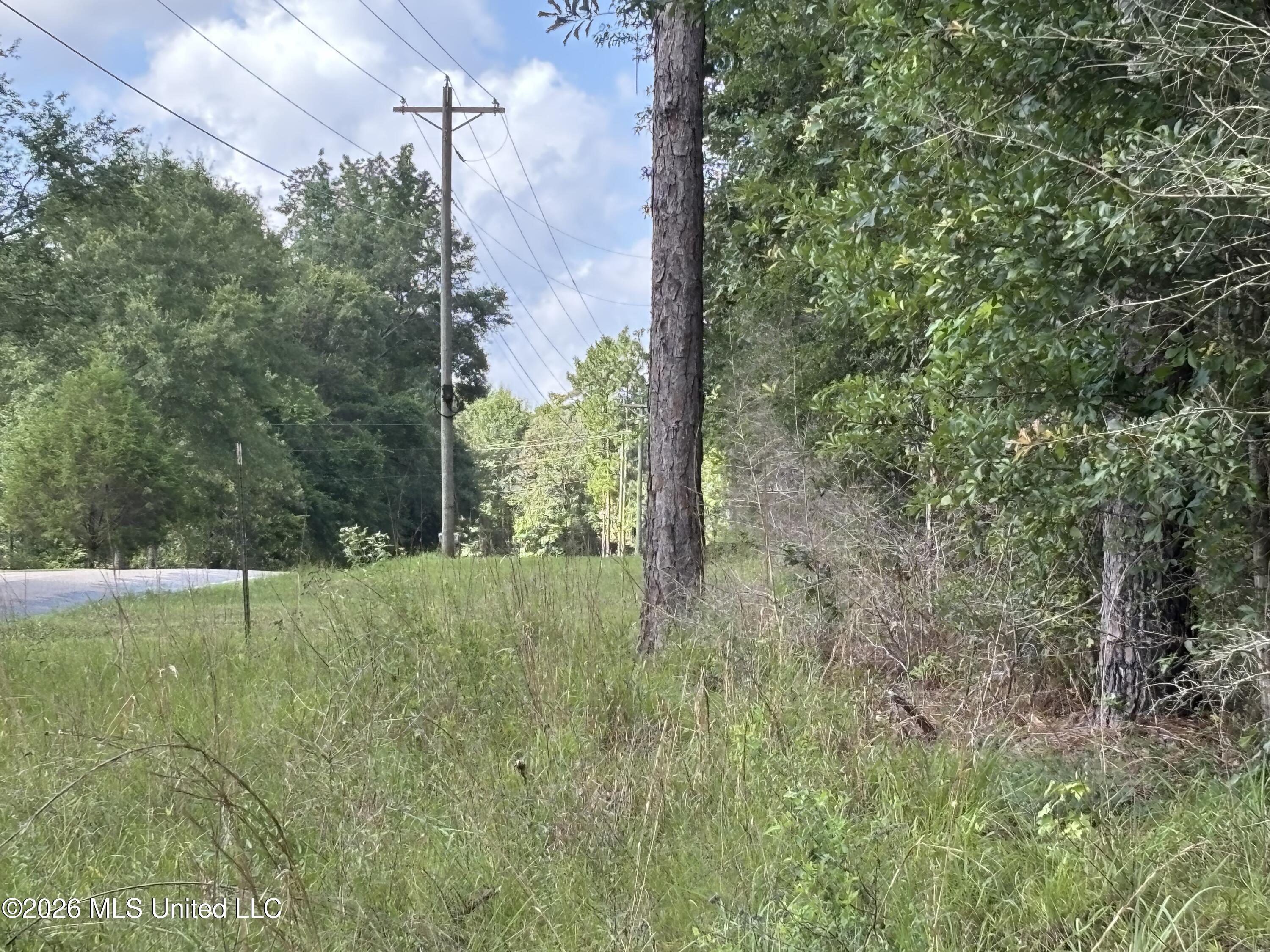 202 Smith Road Lumberton, MS 39455 - Photo 25 of 32 IMG_2966