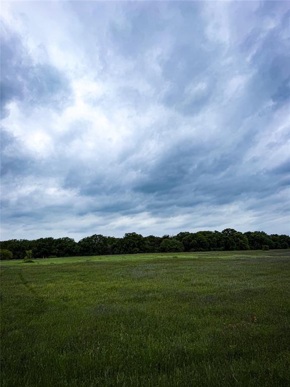 201 Campbell Lane Springtown, TX 76082 - Photo 6 of 7