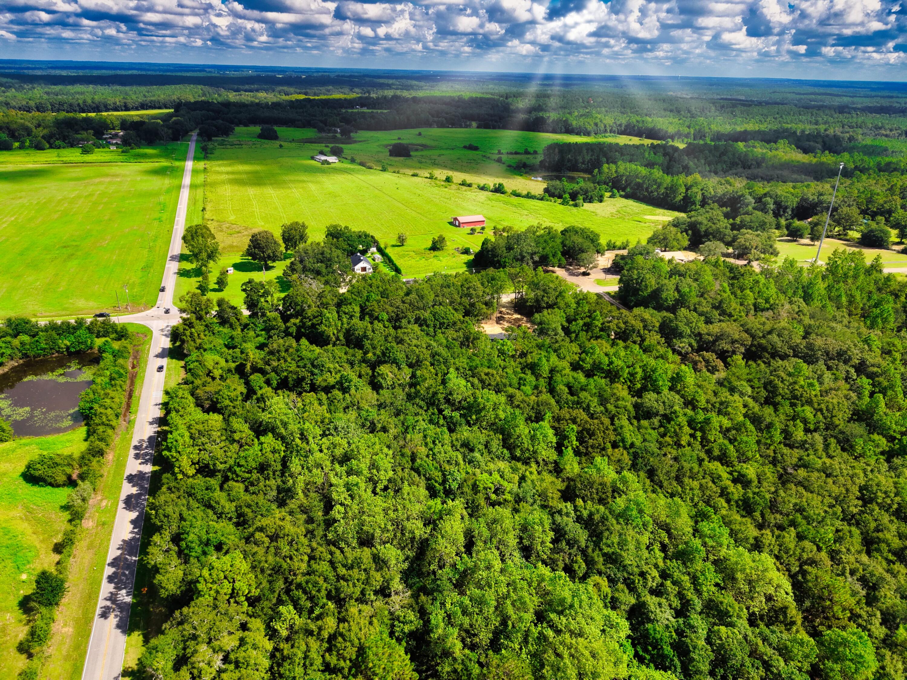 Tbd Long Road Laurel Hill, FL 32567 - Photo 16 of 21 DJI_20260906113903_0258_D