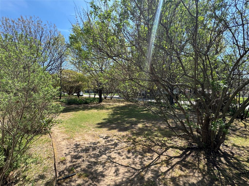206 Ritchey Street Gainesville, TX 76240 - Photo 34 of 36 a view of a yard with trees