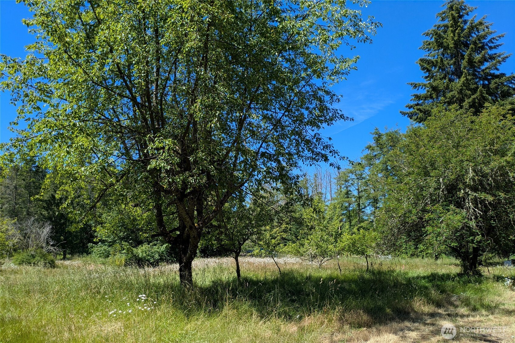 1082 Taylor Cutoff Road Sequim, WA 98382 - Photo 25 of 25
