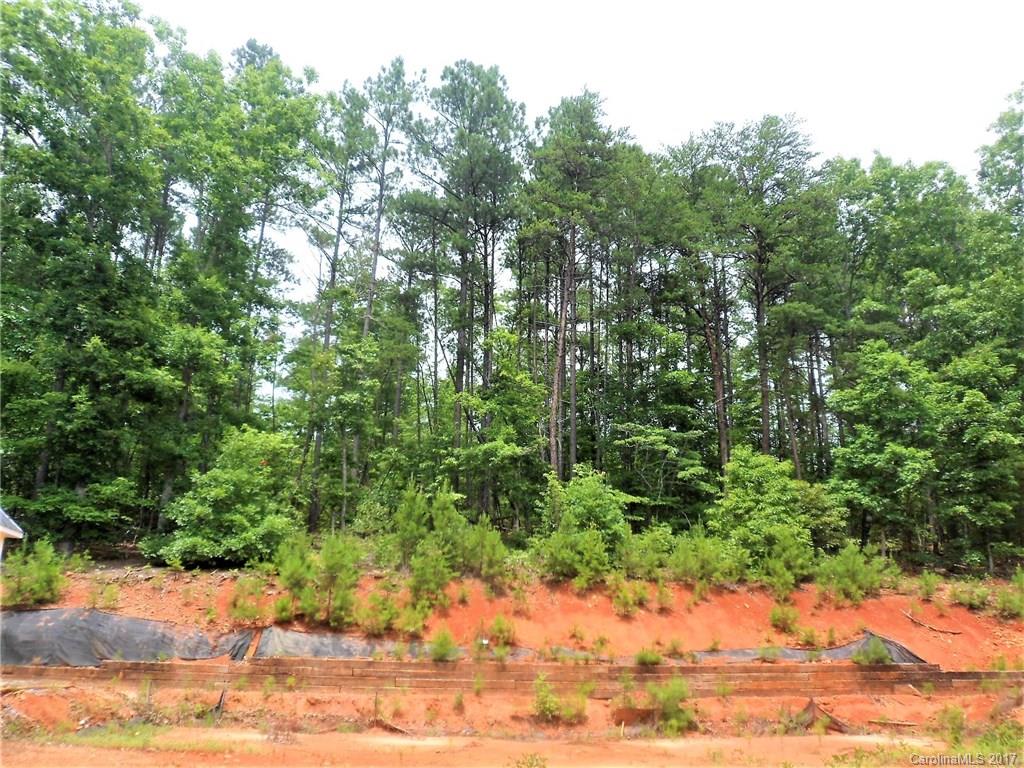 1973 Edgerton Road, Unit 1 Mill Spring, NC 28756 - Photo 7 of 14