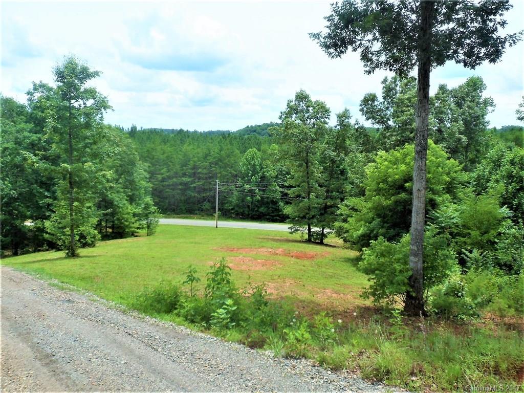 1973 Edgerton Road, Unit 1 Mill Spring, NC 28756 - Photo 8 of 14
