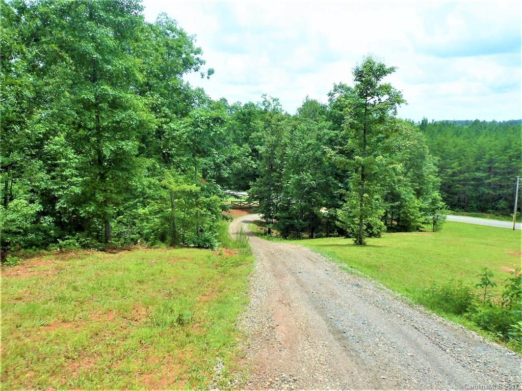 1973 Edgerton Road, Unit 1 Mill Spring, NC 28756 - Photo 9 of 14