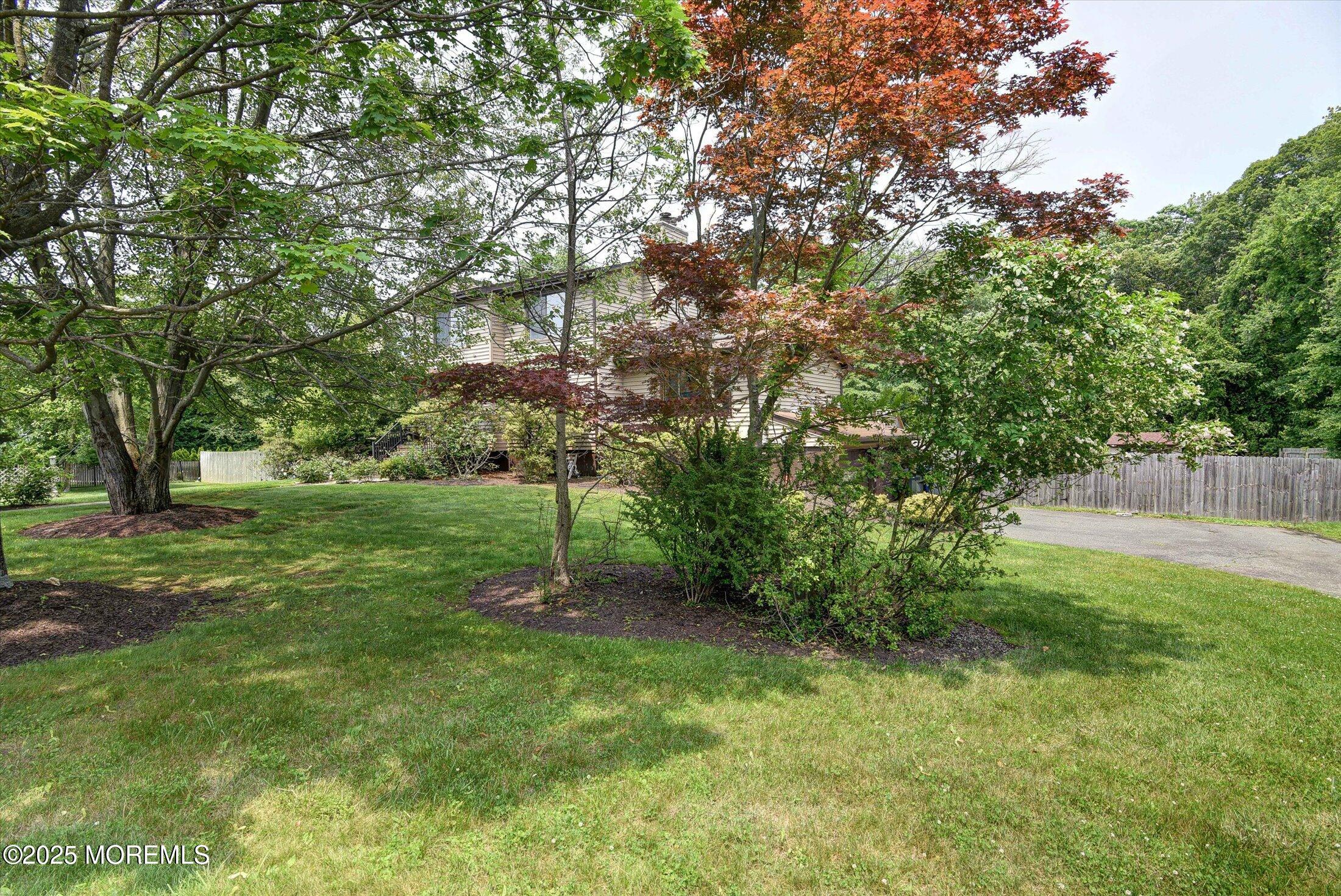 19 Northwoods Road Asbury Park, NJ 07712 - Photo 3 of 79 a view of a tree in a yard