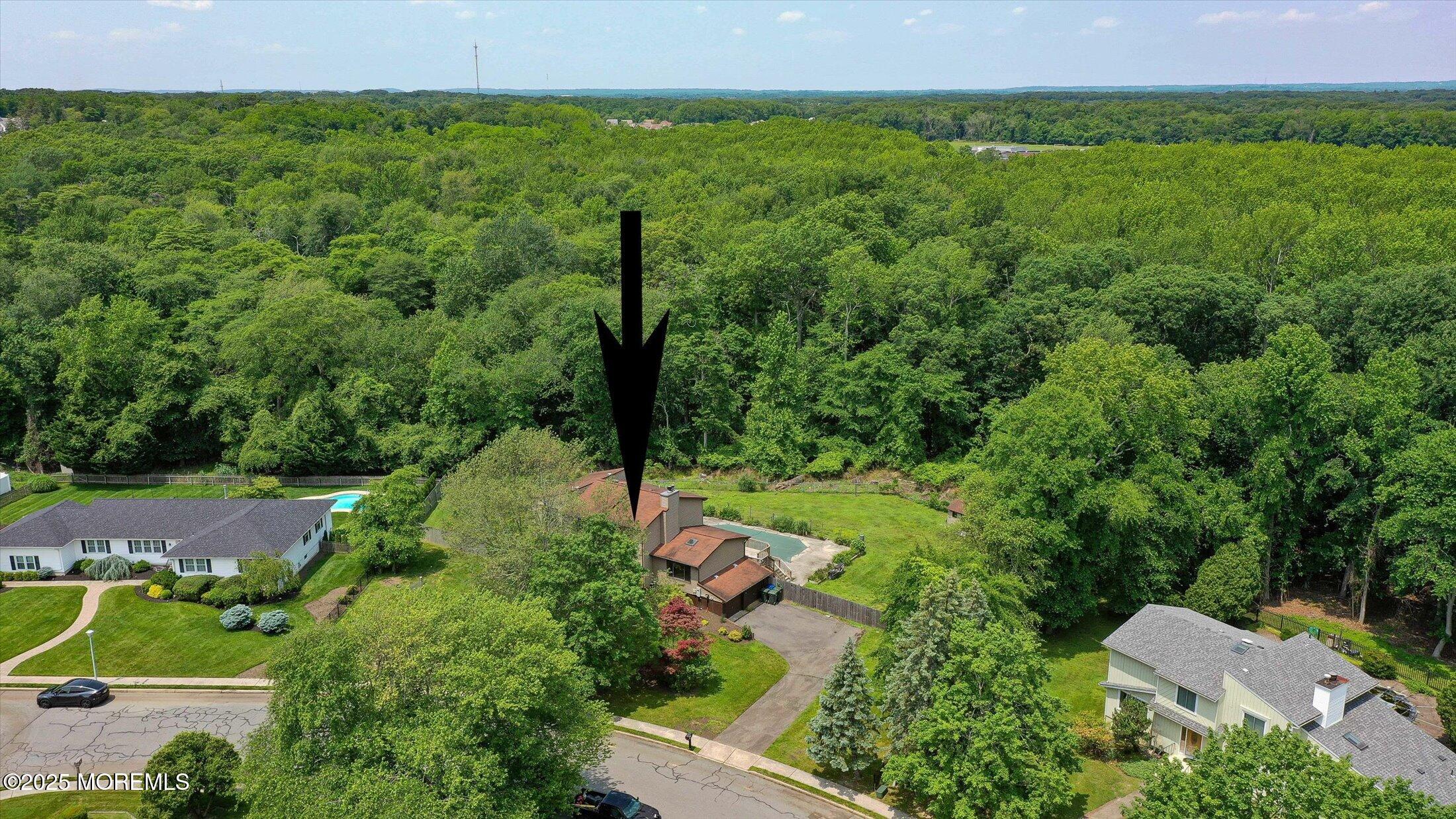 19 Northwoods Road Asbury Park, NJ 07712 - Photo 66 of 79 a view of a garden with a tree