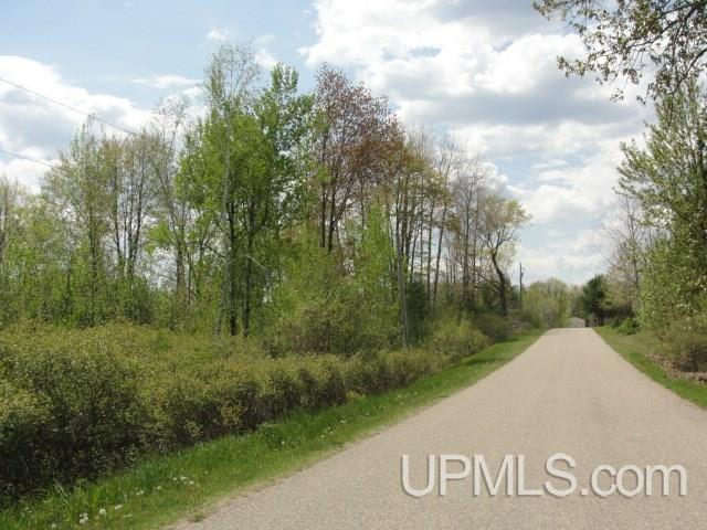 V-wi Stevenson Road Wausaukee, WI 54177 - Photo 2 of 3