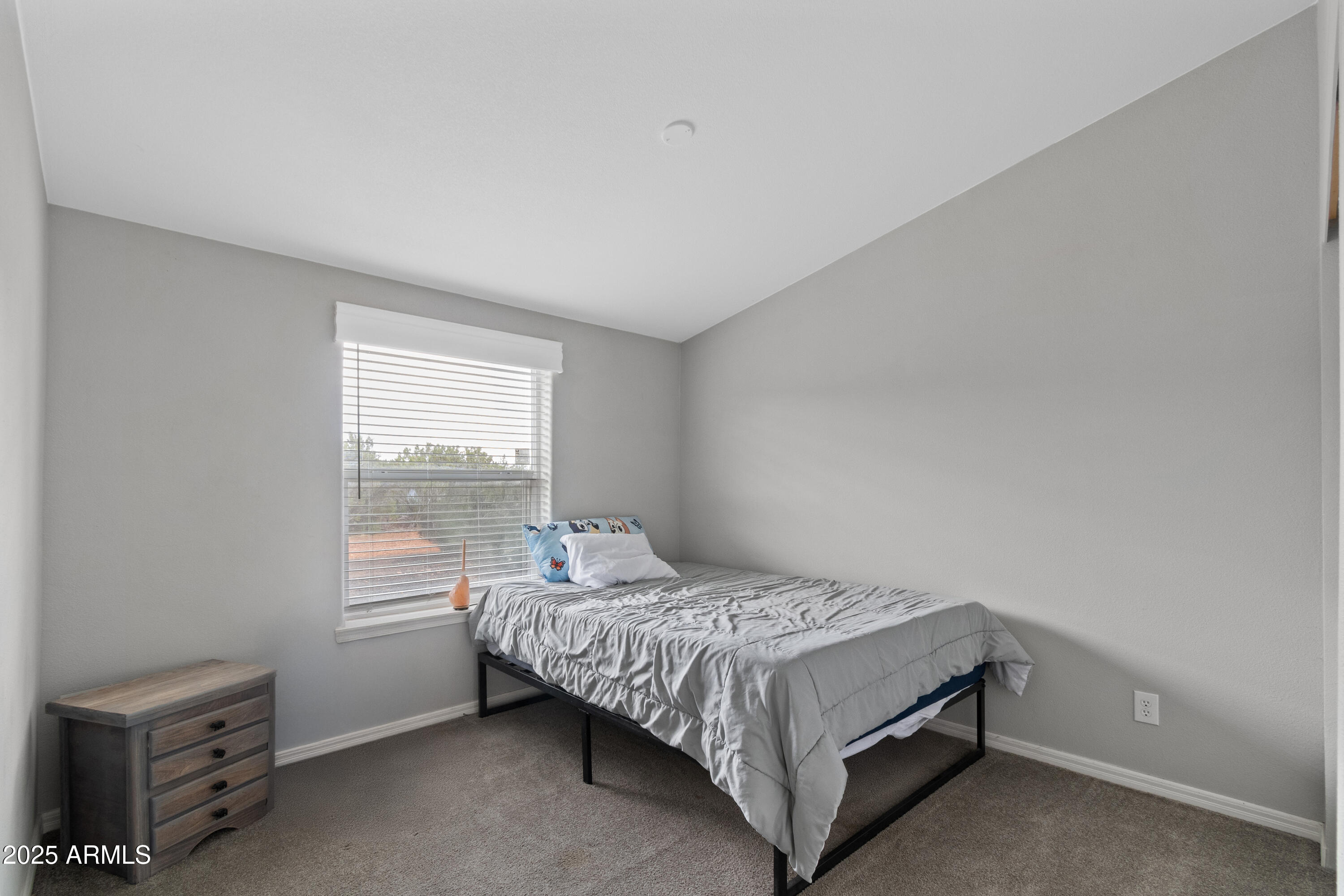 65 Co Road Show Low, AZ 85901 - Photo 16 of 38 a bedroom with a bed and a window