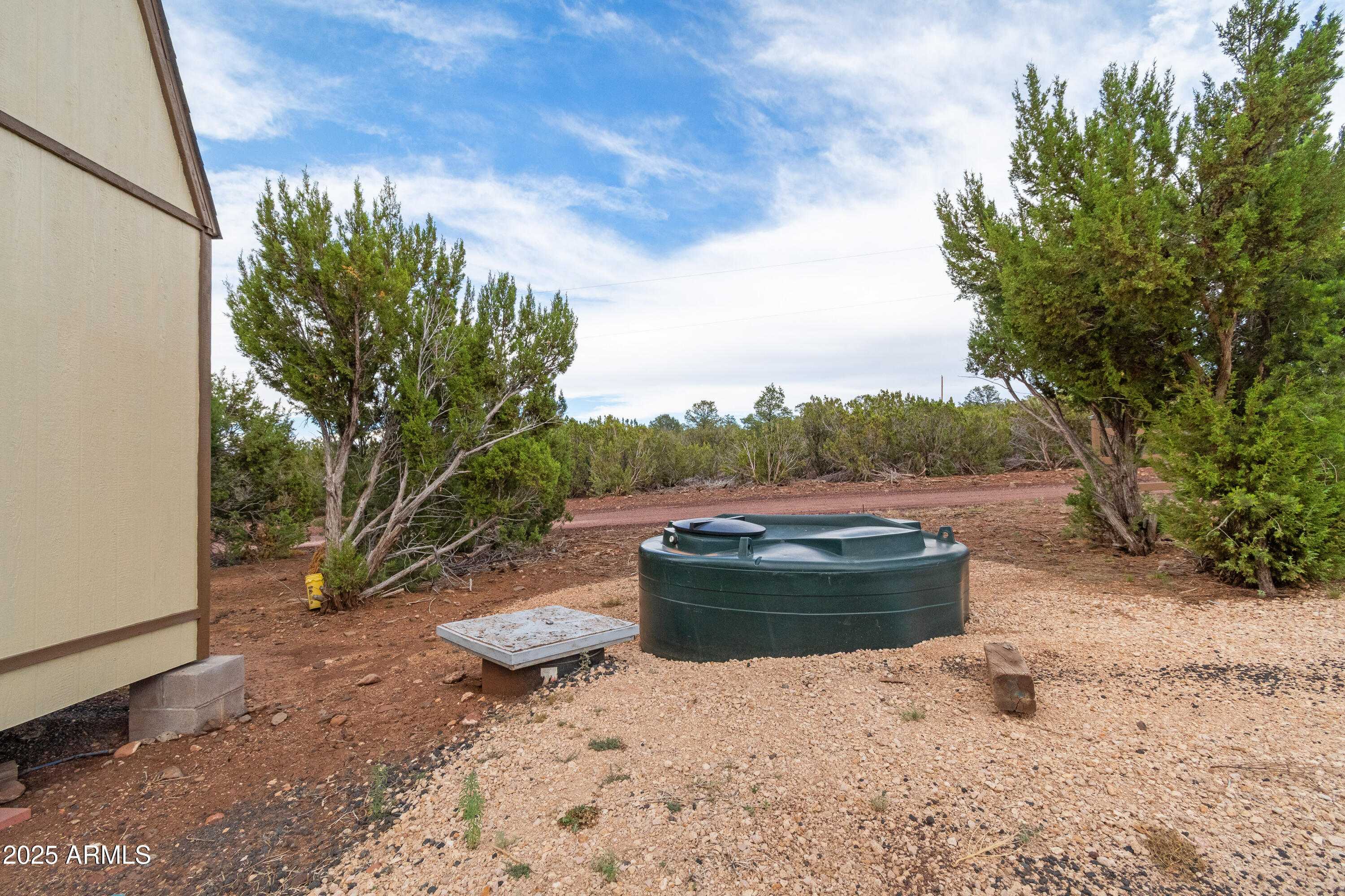 65 Co Road Show Low, AZ 85901 - Photo 31 of 38 a view of a backyard of the house