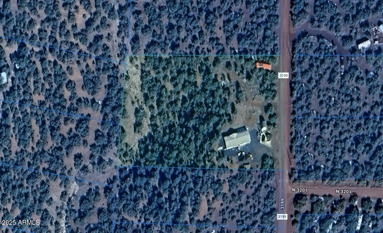 65 Co Road Show Low, AZ 85901 - Photo 32 of 38 a picture of a tree