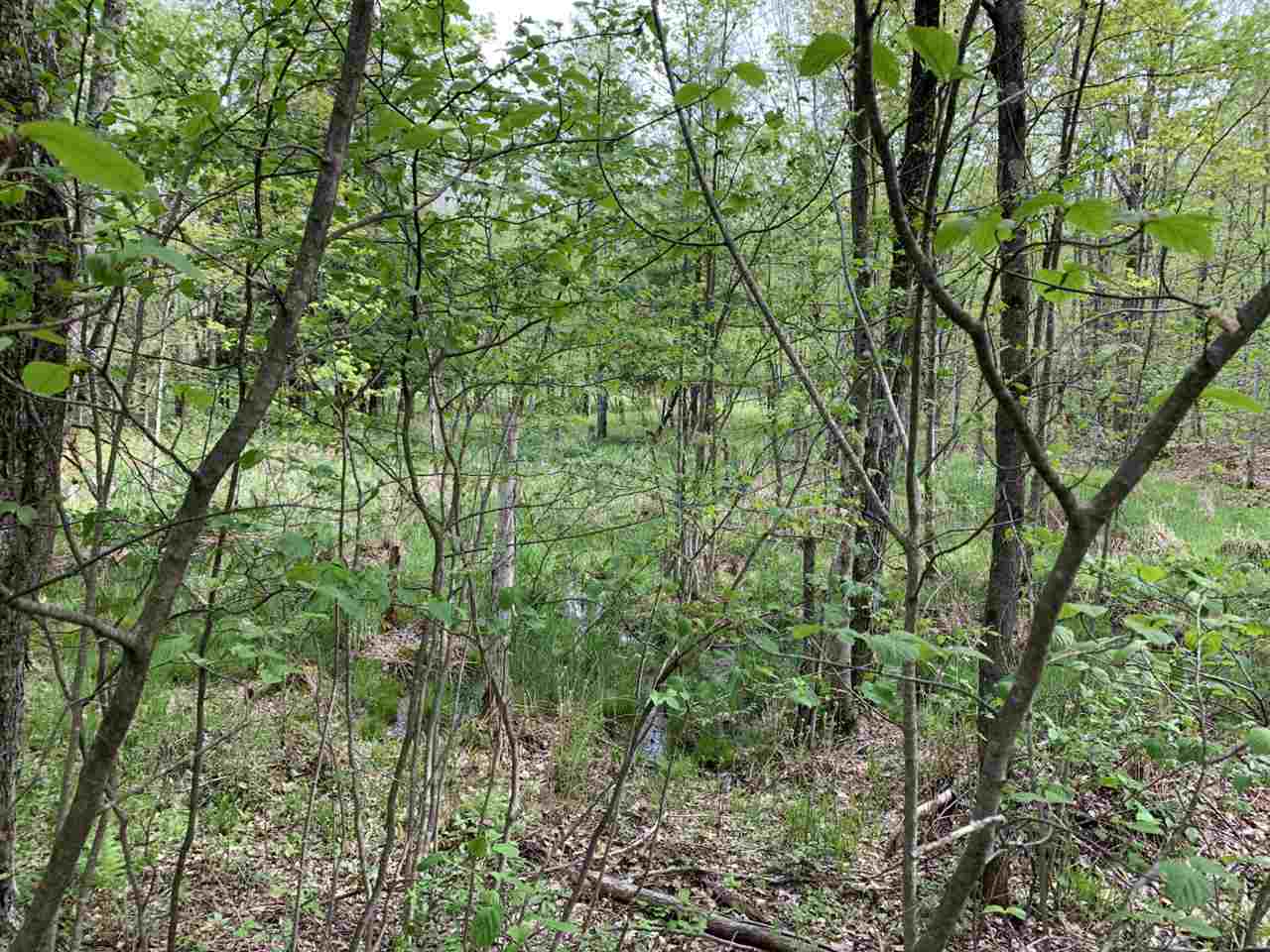 40 South 17 Road Boon, MI 49618 - Photo 28 of 33