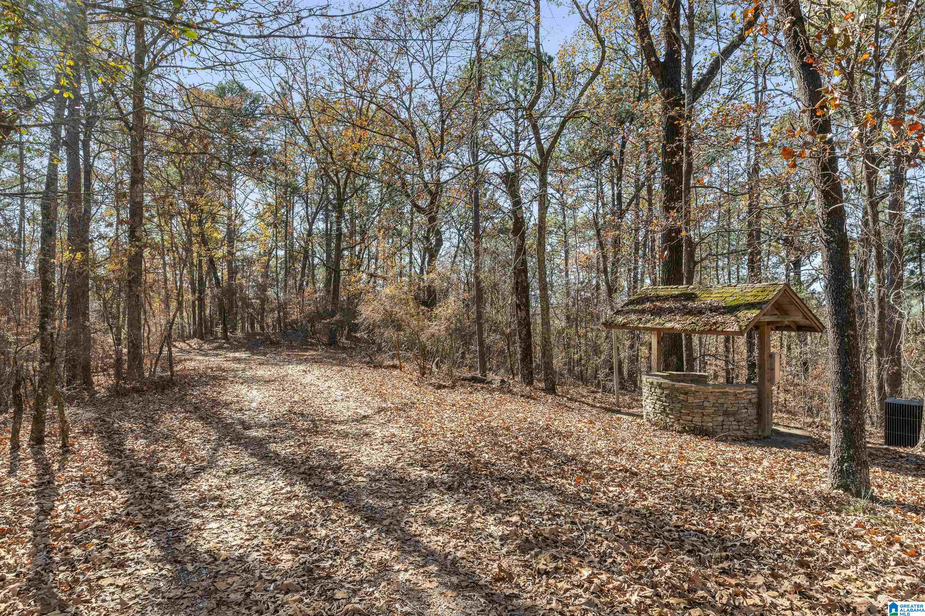 0 Pumpkin Hollow Road Sterrett, AL 35147 - Photo 25 of 55