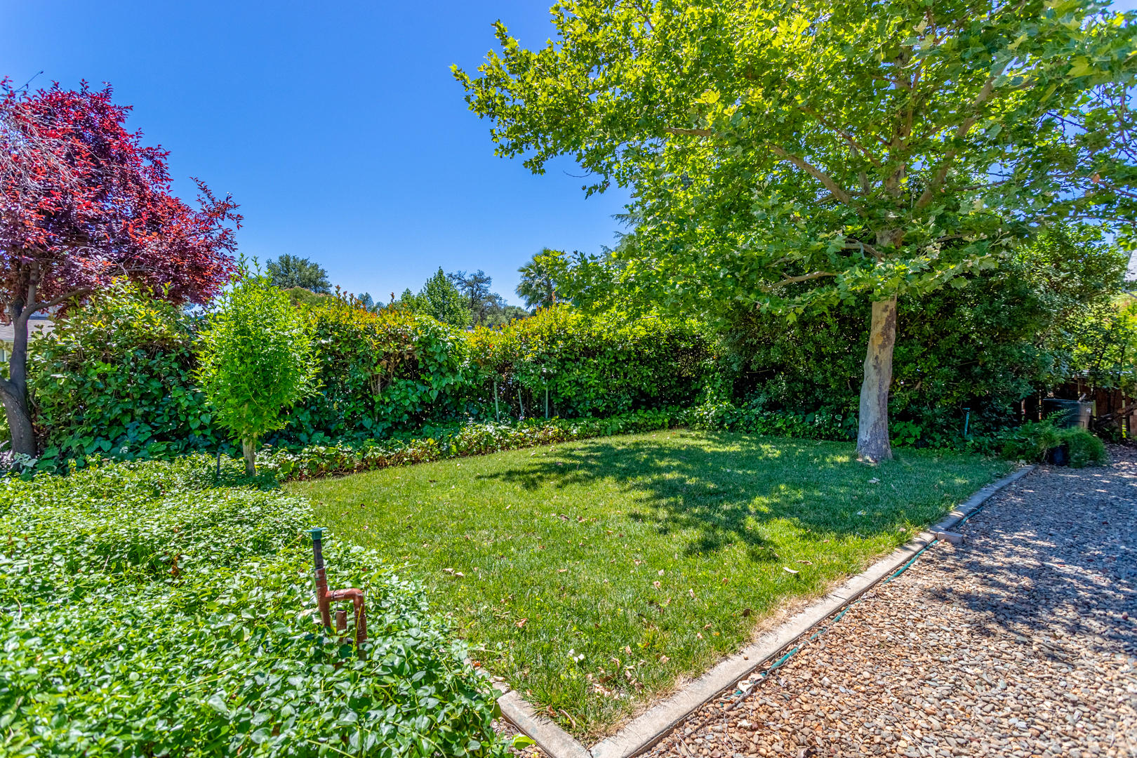 1196 Ruthie Lane Redding, CA 96002 - Photo 20 of 21 10 front yard