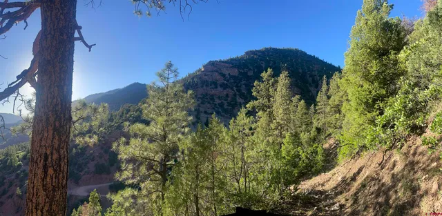 $325,000 | 58p 58P Road, Placerville, CO 81430