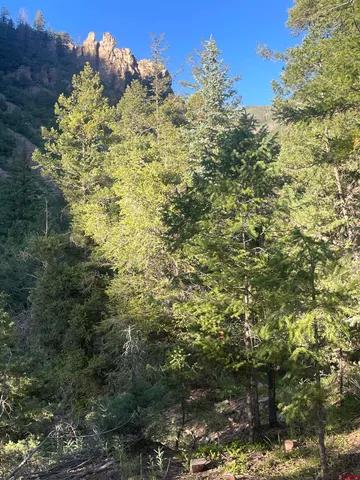 $325,000 | 58p 58P Road, Placerville, CO 81430