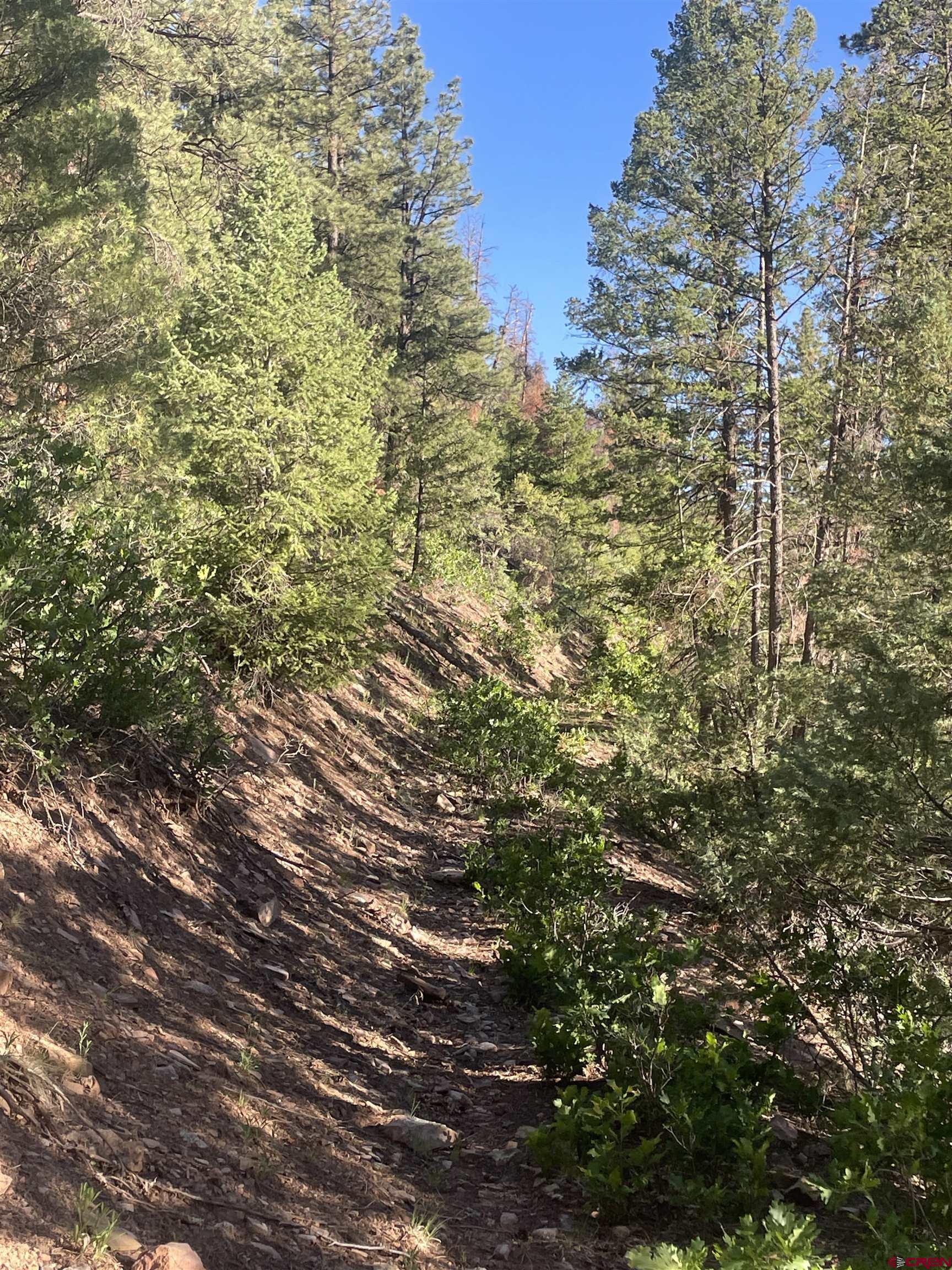 58p 58P Road Placerville, CO 81430 - Photo 13 of 34