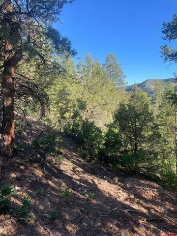 $325,000 | 58p 58P Road, Placerville, CO 81430