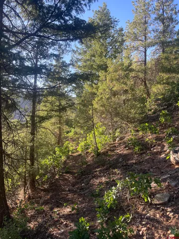 $325,000 | 58p 58P Road, Placerville, CO 81430