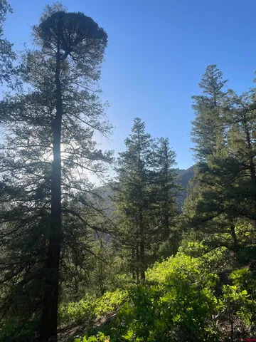 $325,000 | 58p 58P Road, Placerville, CO 81430