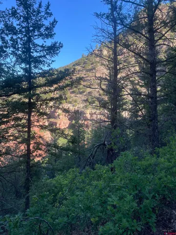 $325,000 | 58p 58P Road, Placerville, CO 81430