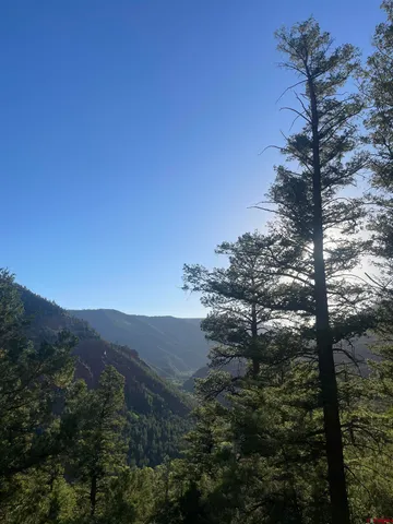 $325,000 | 58p 58P Road, Placerville, CO 81430